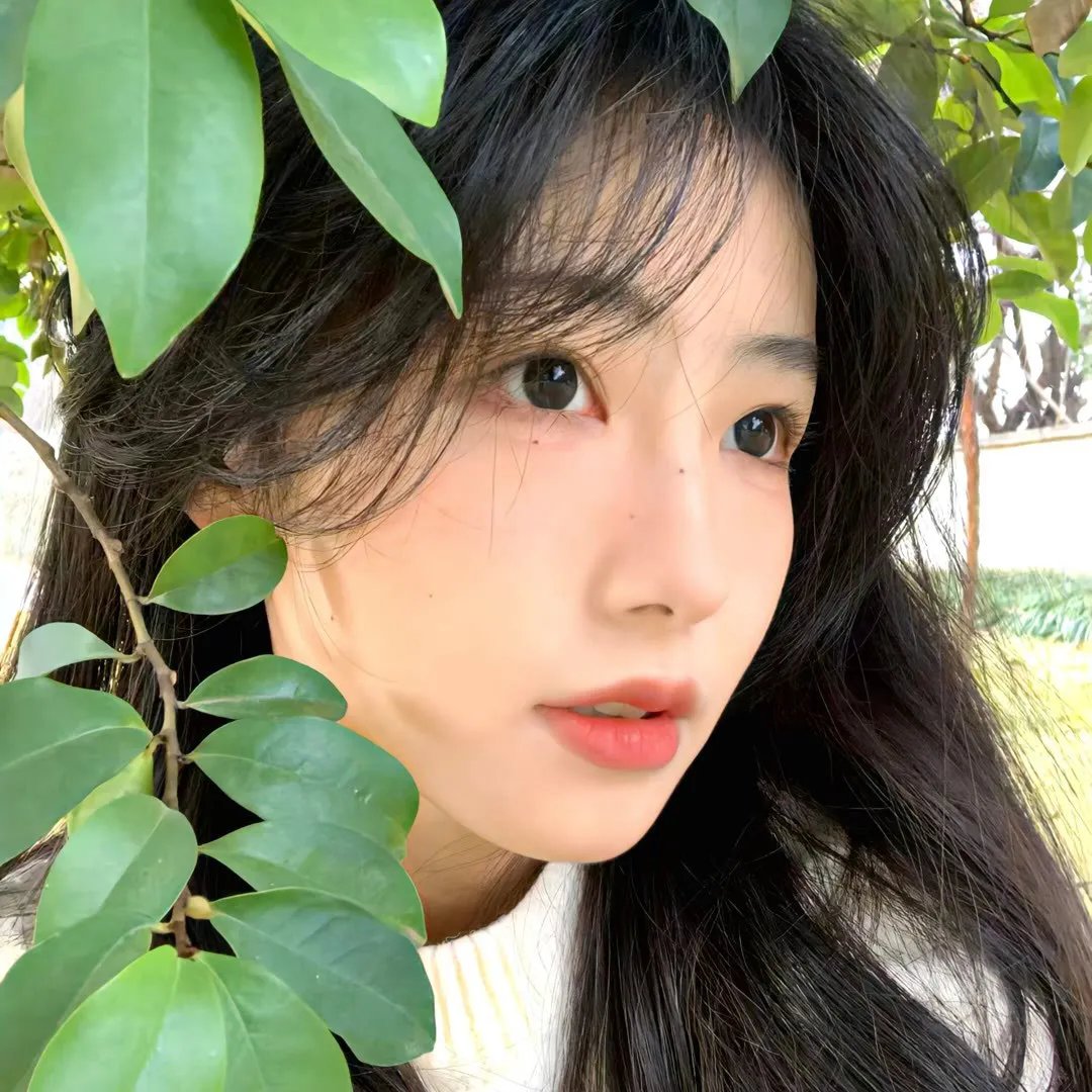 我下载了一只鬼